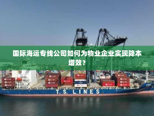 国际海运专线公司如何为物业企业实现降本增效？