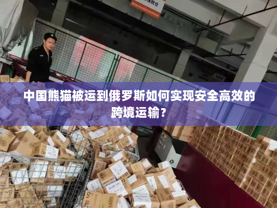 中国熊猫被运到俄罗斯如何实现安全高效的跨境运输? 中国熊猫被运到俄罗斯如何实现安全高效的跨境运输?