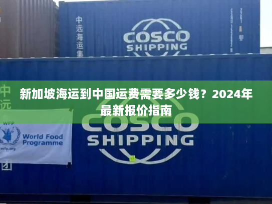 新加坡海运到中国运费需要多少钱?2024年最新报价指南 新加坡海运到中国运费需要多少钱?2024年最新报价指南