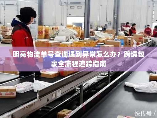 明亮物流单号查询遇到异常怎么办?跨境包裹全流程追踪指南 明亮物流单号查询遇到异常怎么办?跨境包裹全流程追踪指南