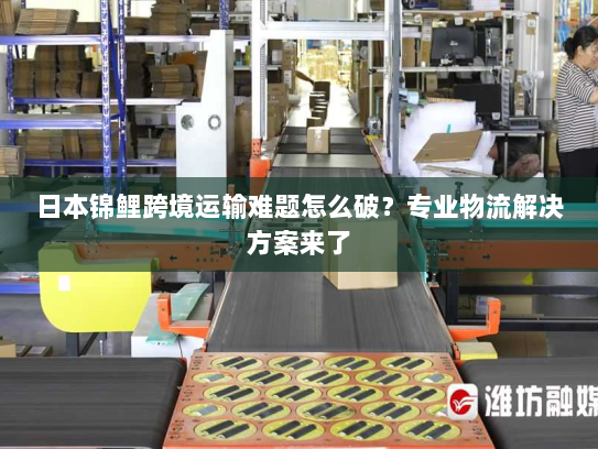 日本锦鲤跨境运输难题怎么破?专业物流解决方案来了 日本锦鲤跨境运输难题怎么破?专业物流解决方案来了