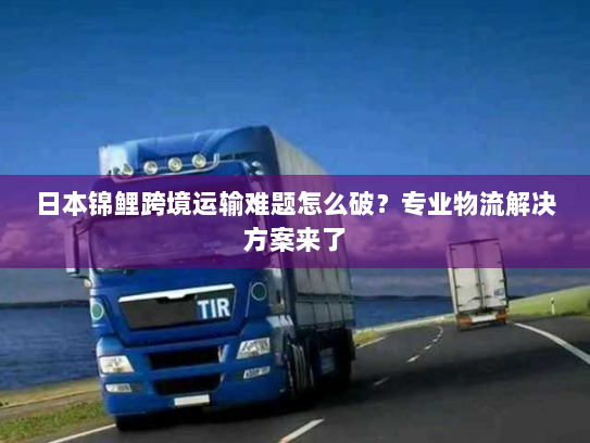 日本锦鲤跨境运输难题怎么破?专业物流解决方案来了 日本锦鲤跨境运输难题怎么破?专业物流解决方案来了