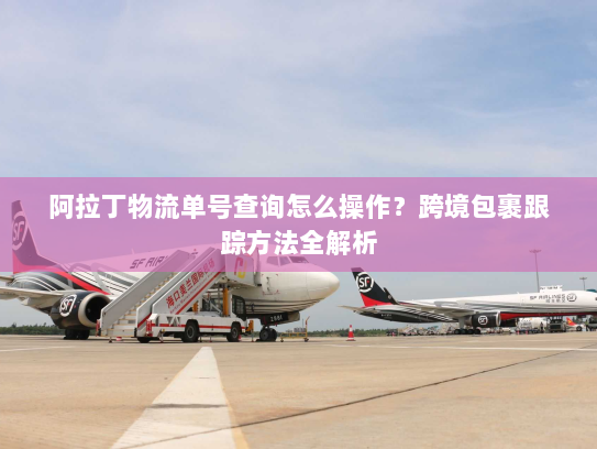 阿拉丁物流单号查询怎么操作?跨境包裹跟踪方法全解析 阿拉丁物流单号查询怎么操作?跨境包裹跟踪方法全解析