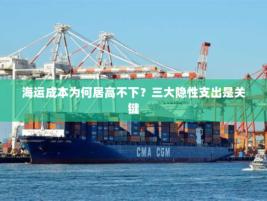 海运成本为何居高不下?三大隐性支出是关键 海运成本为何居高不下?三大隐性支出是关键