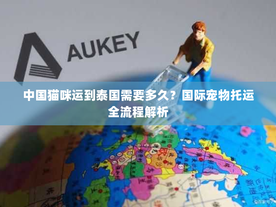 中国猫咪运到泰国需要多久?国际宠物托运全流程解析 中国猫咪运到泰国需要多久?国际宠物托运全流程解析