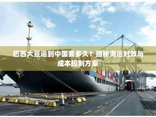 巴西大豆运到中国要多久?揭秘海运时效与成本控制方案 巴西大豆运到中国要多久?揭秘海运时效与成本控制方案