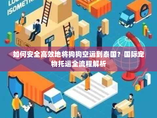 如何安全高效地将狗狗空运到泰国？国际宠物托运全流程解析