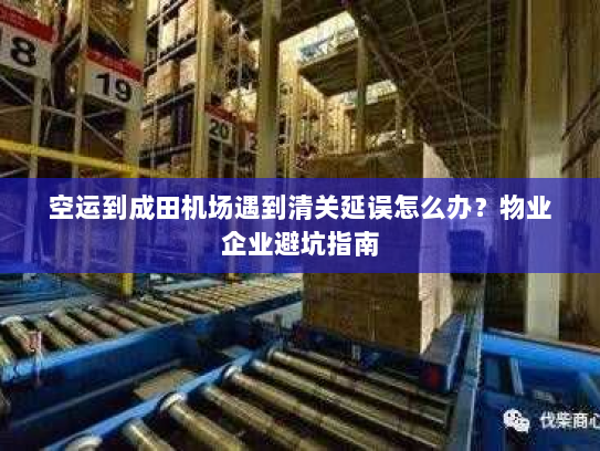 空运到成田机场遇到清关延误怎么办？物业企业避坑指南