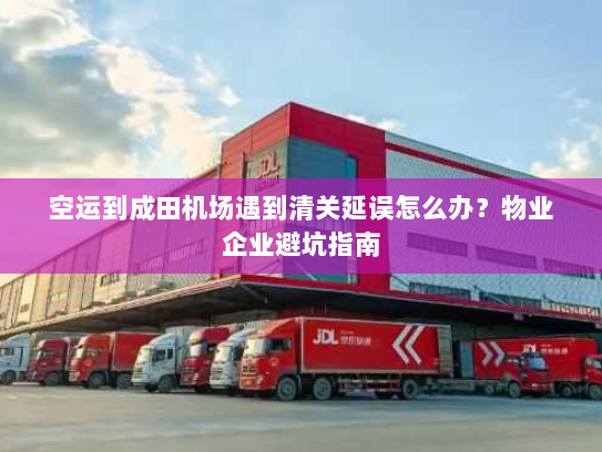 空运到成田机场遇到清关延误怎么办？物业企业避坑指南