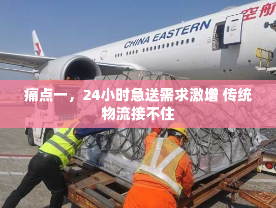 痛点一,24小时急送需求激增 传统物流接不住 痛点一,24小时急送需求激增 传统物流接不住