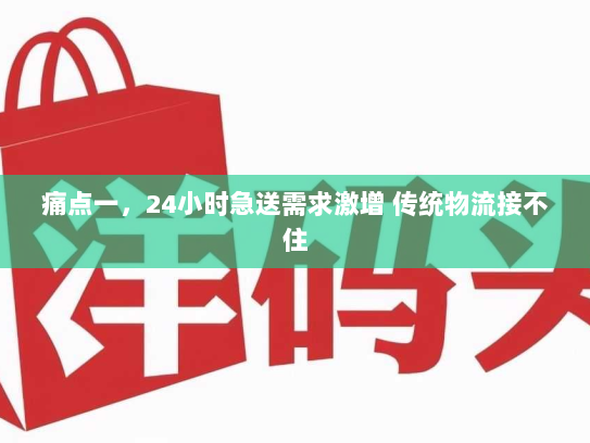 痛点一，24小时急送需求激增 传统物流接不住