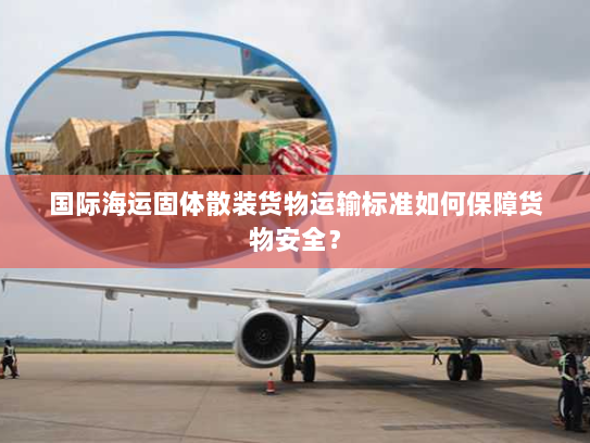 国际海运固体散装货物运输标准如何保障货物安全？