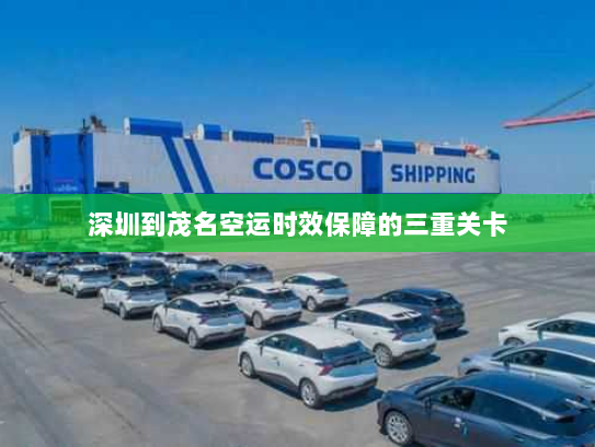 深圳到茂名空运时效保障的三重关卡
