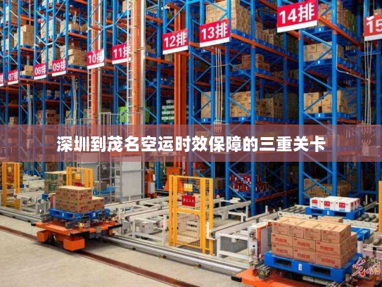 深圳到茂名空运时效保障的三重关卡