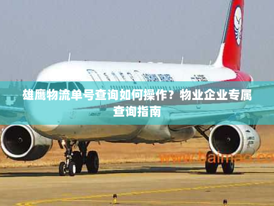 雄鹰物流单号查询如何操作?物业企业专属查询指南 雄鹰物流单号查询如何操作?物业企业专属查询指南