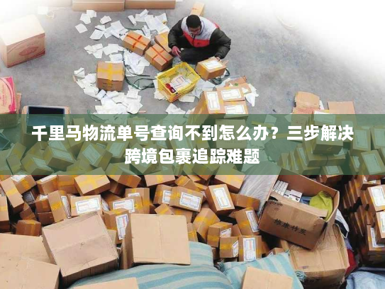 千里马物流单号查询不到怎么办？三步解决跨境包裹追踪难题