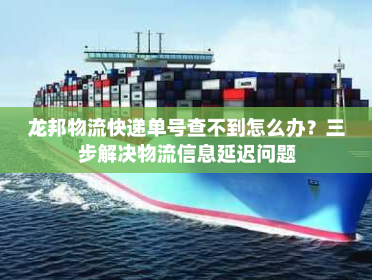 龙邦物流快递单号查不到怎么办？三步解决物流信息延迟问题