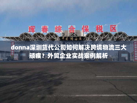 donna深圳货代公司如何解决跨境物流三大顽疾?外贸企业实战案例解析 donna深圳货代公司如何解决跨境物流三大顽疾?外贸企业实战案例解析