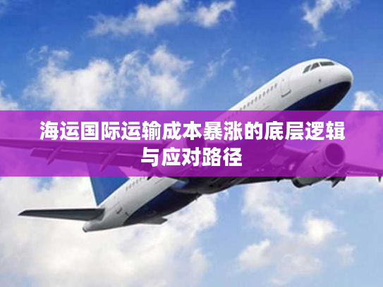 海运国际运输成本暴涨的底层逻辑与应对路径