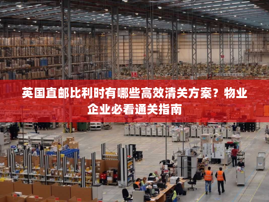 英国直邮比利时有哪些高效清关方案?物业企业必看通关指南 英国直邮比利时有哪些高效清关方案?物业企业必看通关指南