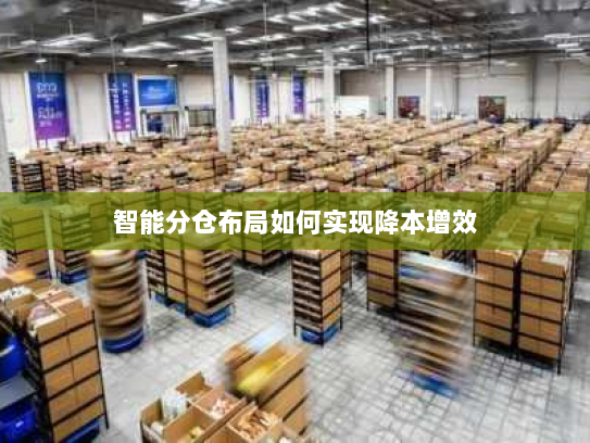 智能分仓布局如何实现降本增效 智能分仓布局如何实现降本增效