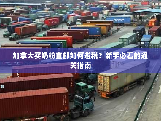 加拿大买奶粉直邮如何避税?新手必看的通关指南 加拿大买奶粉直邮如何避税?新手必看的通关指南