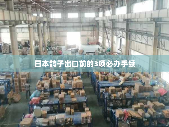日本鸽子出口前的3项必办手续 日本鸽子出口前的3项必办手续