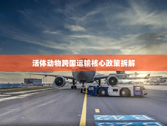 活体动物跨国运输核心政策拆解