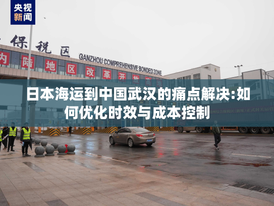 日本海运到中国武汉的痛点解决:如何优化时效与成本控制