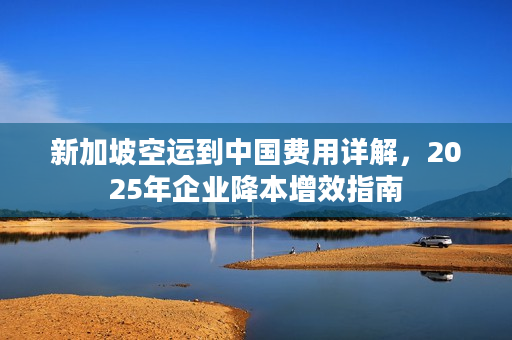 新加坡空运到中国费用详解，2025年企业降本增效指南