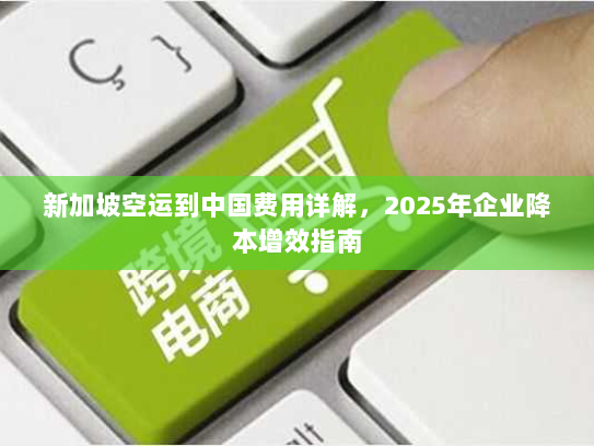 新加坡空运到中国费用详解,2025年企业降本增效指南 新加坡空运到中国费用详解,2025年企业降本增效指南