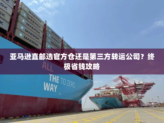 亚马逊直邮选官方仓还是第三方转运公司？终极省钱攻略
