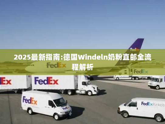 2025最新指南:德国Windeln奶粉直邮全流程解析 2025最新指南:德国Windeln奶粉直邮全流程解析