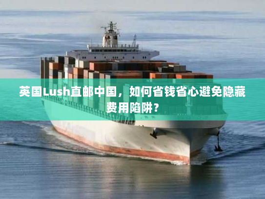 英国Lush直邮中国,如何省钱省心避免隐藏费用陷阱? 英国Lush直邮中国,如何省钱省心避免隐藏费用陷阱?