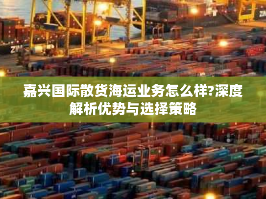 嘉兴国际散货海运业务怎么样?深度解析优势与选择策略