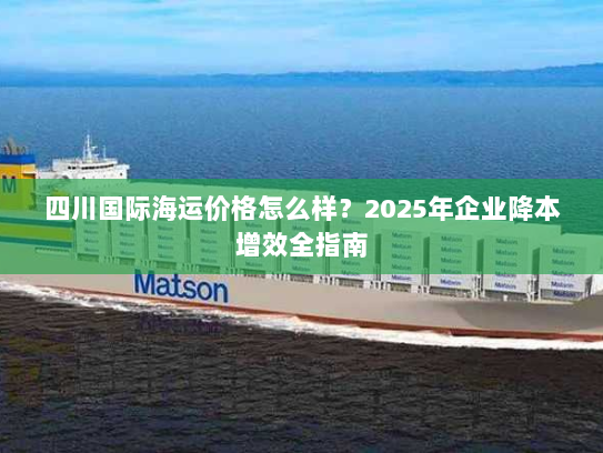 四川国际海运价格怎么样？2025年企业降本增效全指南