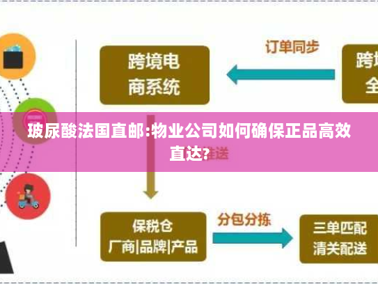 玻尿酸法国直邮:物业公司如何确保正品高效直达? 玻尿酸法国直邮:物业公司如何确保正品高效直达?