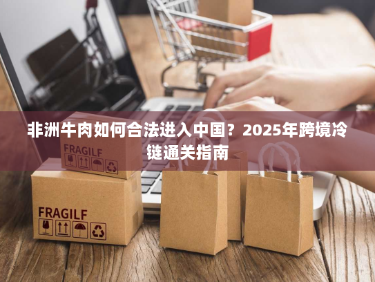 非洲牛肉如何合法进入中国?2025年跨境冷链通关指南 非洲牛肉如何合法进入中国?2025年跨境冷链通关指南