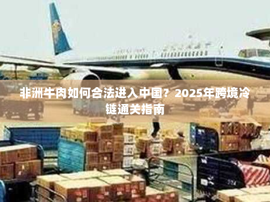 非洲牛肉如何合法进入中国?2025年跨境冷链通关指南 非洲牛肉如何合法进入中国?2025年跨境冷链通关指南