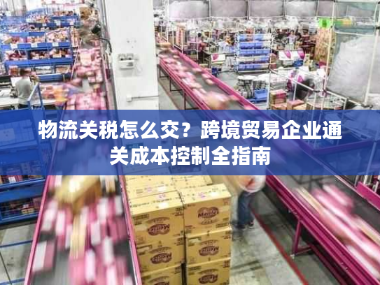 物流关税怎么交？跨境贸易企业通关成本控制全指南