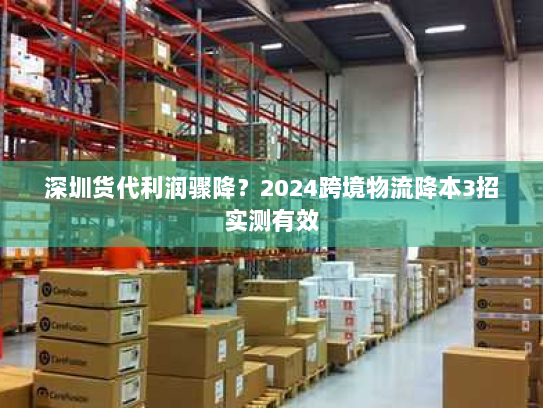 深圳货代利润骤降？2024跨境物流降本3招实测有效