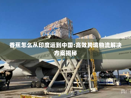 香蕉怎么从印度运到中国:高效跨境物流解决方案揭秘