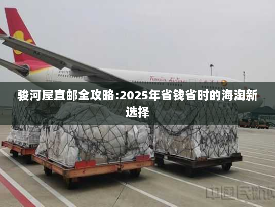 骏河屋直邮全攻略:2025年省钱省时的海淘新选择