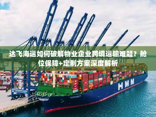 达飞海运如何破解物业企业跨境运输难题?舱位保障+定制方案深度解析 达飞海运如何破解物业企业跨境运输难题?舱位保障+定制方案深度解析
