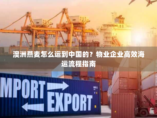 澳洲燕麦怎么运到中国的?物业企业高效海运流程指南 澳洲燕麦怎么运到中国的?物业企业高效海运流程指南