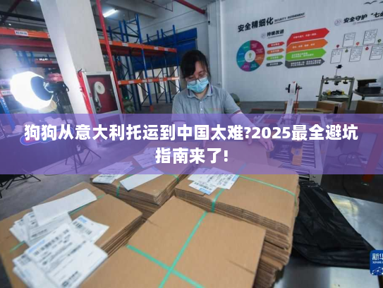 狗狗从意大利托运到中国太难?2025最全避坑指南来了!