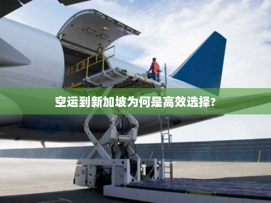 空运到新加坡为何是高效选择?