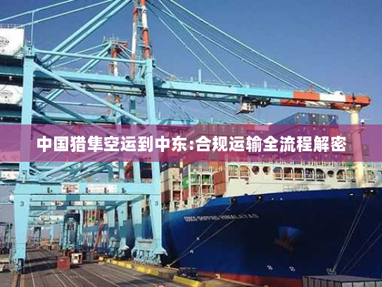 中国猎隼空运到中东:合规运输全流程解密