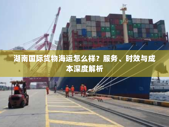 湖南国际货物海运怎么样?服务、时效与成本深度解析 湖南国际货物海运怎么样?服务、时效与成本深度解析