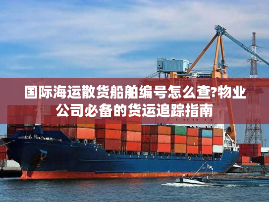 国际海运散货船舶编号怎么查?物业公司必备的货运追踪指南